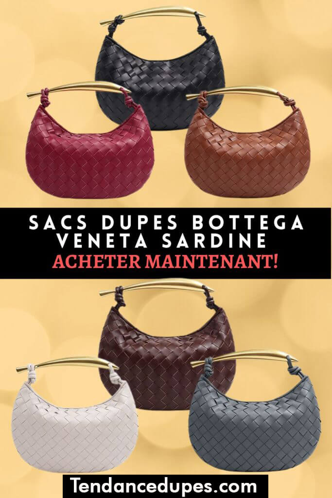 Les-Meilleurs-Sac-De-Luxes-Dupes-De-Bottega-Veneta